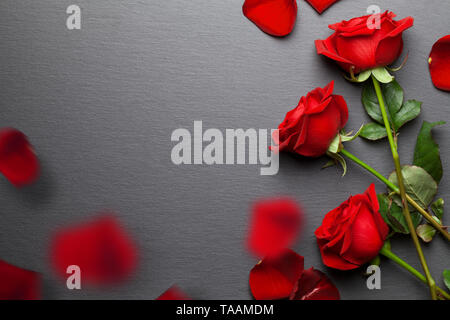 Rote Rosen Hintergrund mit fallenden Blütenblättern Stockfoto