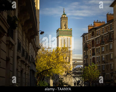 Pariser Landschaft mit Blick auf die Große Moschee von Paris zwischen den Gebäuden des 5. Arrondissement, Frankreich Stockfoto