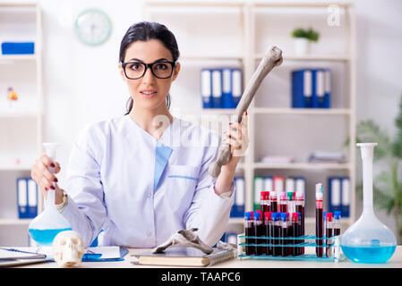 Junge weibliche Archäologe im Labor arbeiten Stockfoto