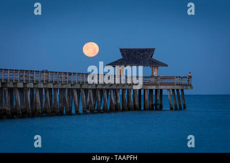 Einstellung Vollmond und am frühen Morgen in der Dämmerung über den Naples Pier, Naples, Florida, USA Stockfoto