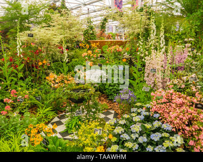 Wunderschön gestaltete Gärten mit Pflanzen und bunten Blumen an der RHS Chelsea Flower Show. Stockfoto