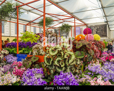 Wunderschön gestaltete Gärten mit Pflanzen und bunten Blumen an der RHS Chelsea Flower Show. Stockfoto