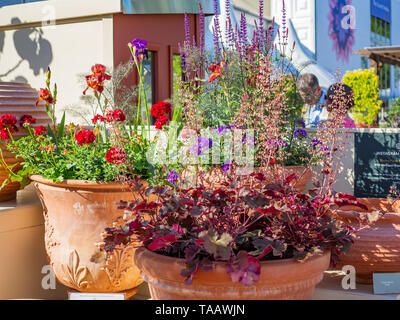 Wunderschön gestaltete Gärten mit Pflanzen und bunten Blumen an der RHS Chelsea Flower Show. Stockfoto