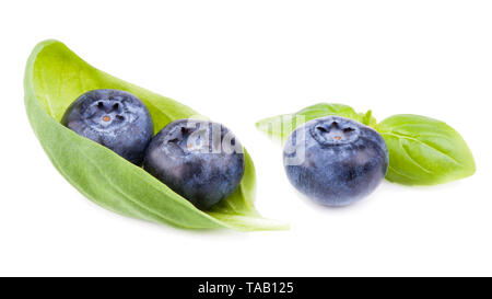 Blaubeeren mit Blättern isoliert Stockfoto