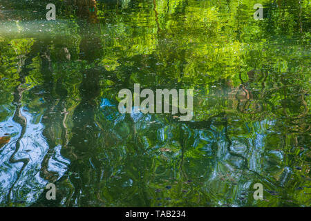 Reflexionen auf dem Wasser. Stockfoto