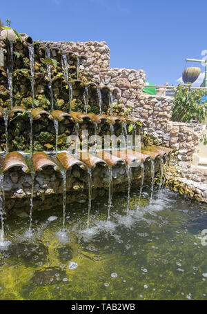 PALMA, MALLORCA, SPANIEN - 22. MAI 2019: Schildkröten schwimmen in Grün Wasser Teich an einem sonnigen Tag im Marineland am 22. Mai 2019 im Palma, Mallorca, Balearen, Spanien. Stockfoto