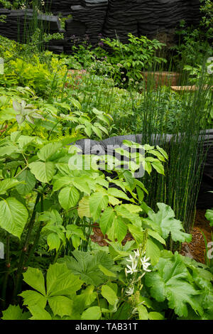 Die M&G Garten von Andy Sturgeon konzipiert und Sieger des besten Schaugarten Award an der RHS Chelsea Flower Show 2019, London, UK Stockfoto