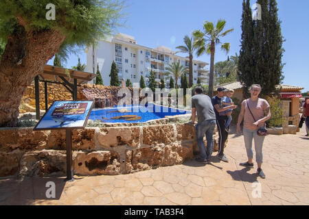 PALMA, MALLORCA, SPANIEN - 22. MAI 2019: Park details im Innenraum im Freien bei Marineland am 22. Mai 2019 im Palma, Mallorca, Balearen, Spanien. Stockfoto