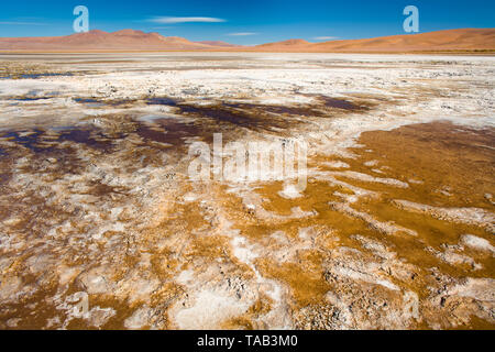 Salzkruste am Ufer des Salar del Quisquiro, Spanisch für Quisquiro Salt Lake im Altiplano auf einer Höhe von 4150 m, Atacama-wüste, Antofagasta Stockfoto