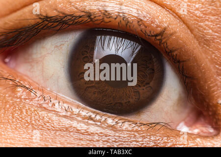 Auge braun Super Makro geschossen zu schließen. Stockfoto