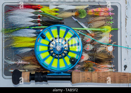 Salzwasser Fliegenfischen fliegen und fliegen Rod und Reel Stockfoto