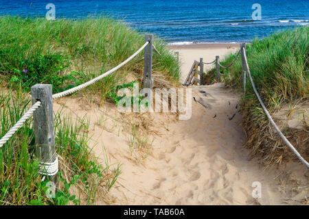 Pfad durch die Dünen zum Strand in Greenwich, PEI National Park, Kanada. Stockfoto