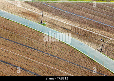 Luftaufnahme über Landwirtschaft vorbereiten Gemüsefeldern mit Straße durch während der sonnigen Sommermorgen, Fuzhou, Fujian, China Stockfoto