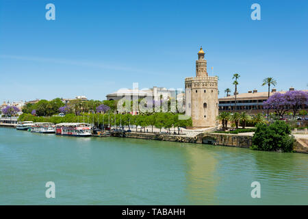 Der Turm der Torre del Oro Naval Museum, Sevilla, Region Andalusien, Spanien Stockfoto