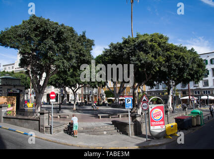 Las Palmas, Gran Canria, Spanien - 31. Dezember 2017. Park de San Telmo in der Stadt Las Palmas, Gran Canaria Insel Stockfoto