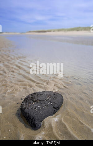 Schwarze Klumpen der Rasen von exponierten Torfschicht auf dem Meeresboden gewaschen an Land auf Sand Strand an der Nordsee, Belgien Stockfoto