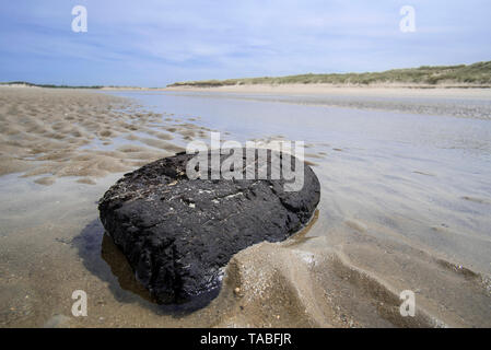 Schwarze Klumpen der Rasen von exponierten Torfschicht auf dem Meeresboden gewaschen an Land auf Sand Strand an der Nordsee, Belgien Stockfoto