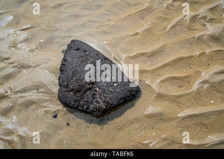 Schwarze Klumpen der Rasen von exponierten Torfschicht auf dem Meeresboden gewaschen an Land auf Sand Strand an der Nordsee, Belgien Stockfoto