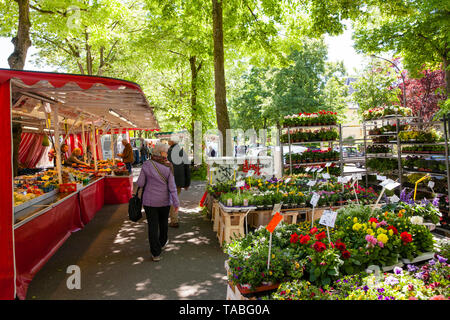 Bauernmarkt auf der Straße Riehler Gürtel im Stadtteil Riehl, Köln, Deutschland. Wochenmarkt am Riehler Gürtel im Stadtteil Riehl, Koeln, 5Mose Stockfoto