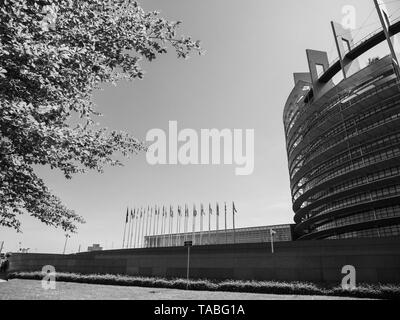 Breite Fassade des Europäischen Parlaments Blick durch die Bäume der Zentrale in Straßburg einen Tag vor 2019 zu den Wahlen zum Europäischen Parlament - klaren Himmel schwarz/weiß-Bild Stockfoto
