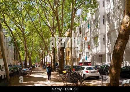 Flugzeuge an der Weißenburg Straße im Agnes Viertel, Köln, Deutschland. Platanen in der Weissenburgstrasse im Agnesviertel, Köln, Deutschland. Stockfoto