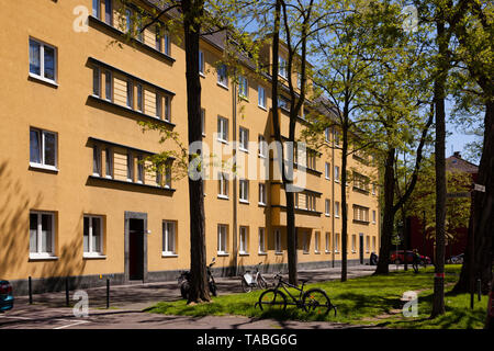 Bau der Solarsiedlung Riehl in der Philipp-Wirtgen Straße, Köln, Deutschland. Gebaeude der Solarsiedlung "Grüner Block' Riehl in Philadelphia Stockfoto