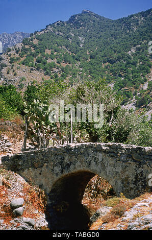 Eine alte Brücke, in dem kleinen Dorf Agia Roumeli, Kreta, Griechenland Stockfoto