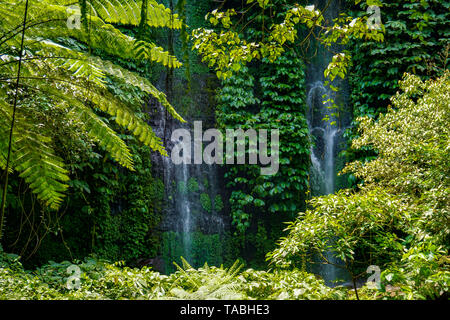 Air Terjun Benang Kelambu Wasserfall auf der Insel Lombok, Indonesien Stockfoto