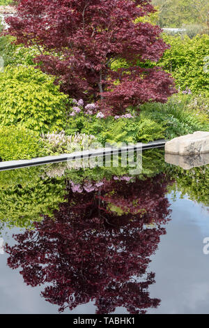 Acer Baum Im dem Blatt kreativ Garten Teich widerspiegelt. Ein Garten der Ruhe und Kontemplation im RHS Malvern spring Show 2019, Worcestershire, England Stockfoto