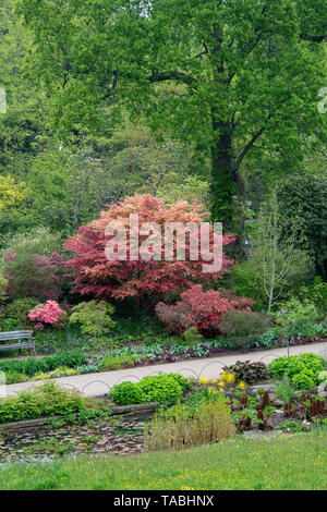 RHS Wisley Gardens im Frühjahr, Surrey, England Stockfoto