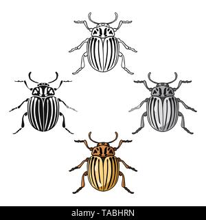 Landwirtschaft, Tier, Antenne, Kunst, Käfer, Biologie, Bug, Cartoon, schwarz, Colorado, Design, Detail, schädlich, Icon, Illustration, insekt, insekten, Wirbellose, isoliert, leptinotarsa, Logo, Natur, Objekt, Pest, Kartoffel, nachteilig, Zeichen, klein, gestreift, Symbol, Vector, Ungeziefer, Web, weiß, natur, gelb, Zoologie, Vektor, Vektoren, Stock Vektor