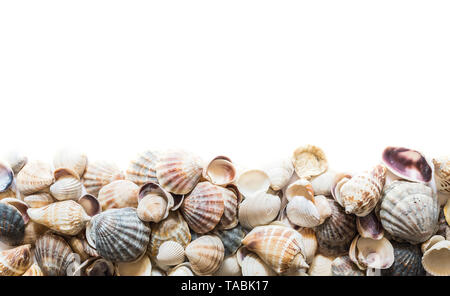 Hintergrund der Schönen verschiedenen Muscheln auf die Oberseite mit Leerzeichen getrennt für Text. Muschel seashell Textur. Stockfoto