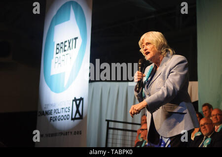 Ann Widdecombe Adressierung der Brexit Party Rally in London Olympia am 21. Mai 2019 vor den europäischen Wahlen Abstimmung am 23. Mai Stockfoto