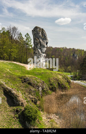 Kalkstein monadnock, Felsen namens 'Maczuga Herkuklesa' (Herkules Keule oder Knüppel). Felsformation in Ojcow Nationalpark in der Nähe von Krakau, Polen. Stockfoto