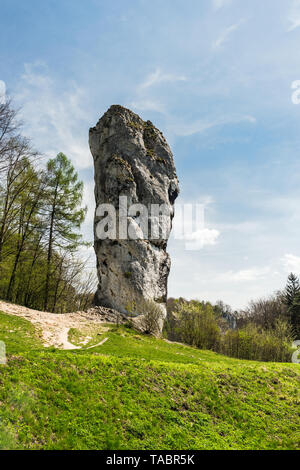 Kalkstein monadnock, Felsen namens 'Maczuga Herkuklesa' (Herkules Keule oder Knüppel). Felsformation in Ojcow Nationalpark in der Nähe von Krakau, Polen. Stockfoto