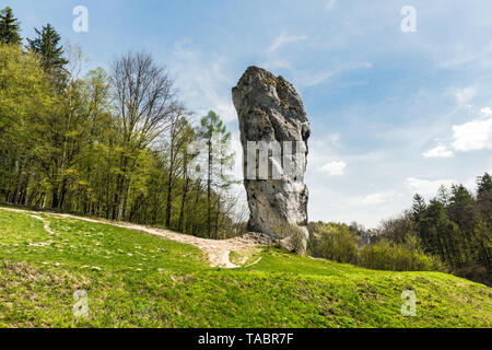 Kalkstein monadnock, Felsen namens 'Maczuga Herkuklesa' (Herkules Keule oder Knüppel). Felsformation in Ojcow Nationalpark in der Nähe von Krakau, Polen. Stockfoto