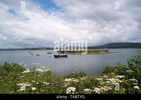 Schöner Blick auf die Bantry Bay mit Whiddy Island im County Cork, Irland gesehen. Stockfoto