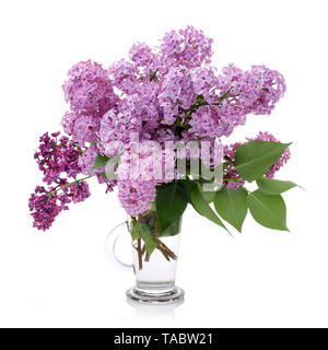 Strauß Flieder in einem Glas Vase isoliert auf Weiss. Zweig mit lila Blüten. Stockfoto