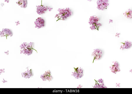 Rahmen mit lila Blüten auf weißem Hintergrund. Flach, Ansicht von oben Stockfoto