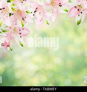 Schönen Rahmen von Pink alstroemeria Blumen auf den unscharfen abstrakte Natur gelb-grünen Hintergrund mit Bokeh, mit copy-Raum Stockfoto