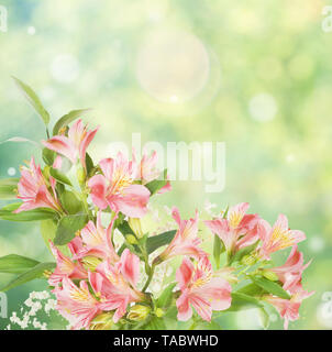 Schönen Rahmen von Pink alstroemeria Blumen auf den unscharfen abstrakte Natur gelb-grünen Hintergrund mit Bokeh, mit copy-Raum Stockfoto