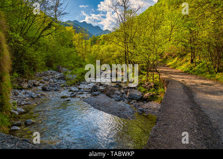 Wunderbare Aussicht auf die vertova Torrent bei Sonnenuntergang, in der Mitte des Orobiche Berge mit seinen wunderschönen kleinen Wasserfällen. Stockfoto