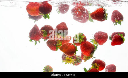 Nahaufnahme der viele frische reife Erdbeeren Schwimmen im klaren Wasser mit Luftblasen vor weißem Hintergrund Stockfoto