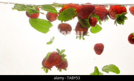 Closeup Bild von viel frische reife Erdbeeren und grüne Minze fallen und Spritzwasser in sauberem Wasser vor weißem Hintergrund Stockfoto