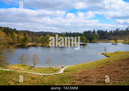 Wunderschöne Aussicht auf Tarn Hows im Lake District National Park Stockfoto