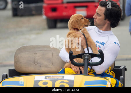 RELEASE Datum: August 9, 2019 TITEL: Die Kunst des Laufens in der Regen Studio: Twentieth Century Fox Regie: Simon Curtis PLOT: Ein Hund namens Enzo erinnert an die Lektionen des Lebens, die er von seinem Auto fahren Besitzer, Denny gelernt hat. In den Hauptrollen: MILO VENTIMIGLIA als Denny Swift, Enzo. (Bild: © Twentieth Century Fox/Entertainment Bilder) Stockfoto