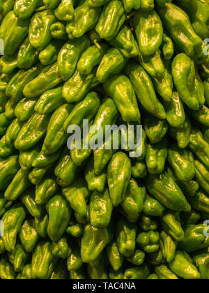 Kleine grüne Paprika, Nahaufnahme, full frame. Stockfoto