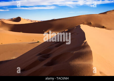 Marokko, Sahara, Merzouga, Erg Chebbi desert Dune Stockfoto