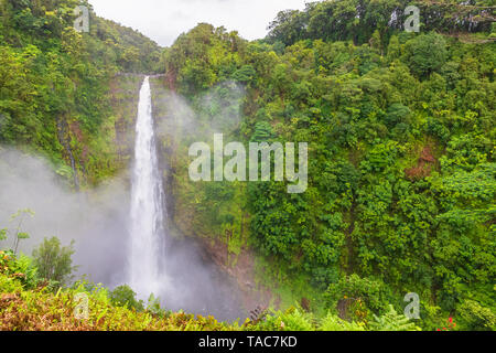 USA, Hawaii, Big Island, Akaka Falls State Park, Akaka Falls und Kolekole Stream Stockfoto