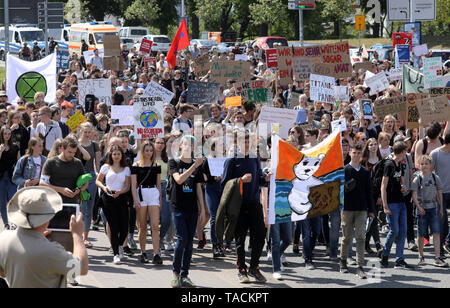 Rostock, Deutschland. 24. Mai, 2019. Kursteilnehmer während des Freitags für Zukunft - Klima Streiks für die Umsetzung der Paris Klimaabkommen demonstrieren. Der Anruf für Demonstrationen war auch vor dem Hintergrund der aktuellen europäischen Wahlen gemacht hat. Quelle: Bernd Wüstneck/dpa/Alamy leben Nachrichten Stockfoto